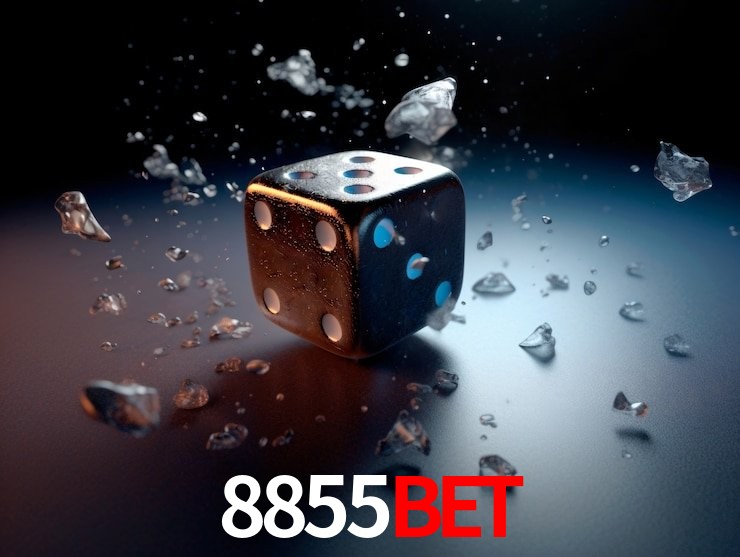 8855Bet Salvador - Promo Stats