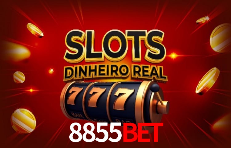 8855Bet Curitiba - Statistics