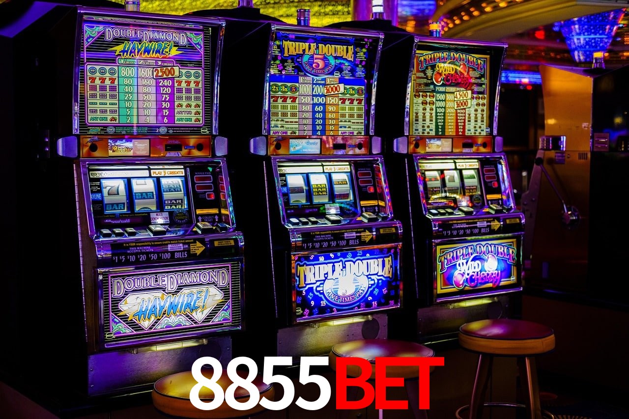 Avaliações dos Jogadores 8855Bet