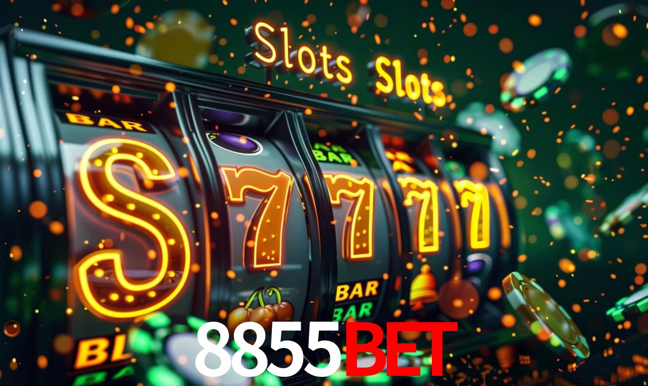 Recursos de Bônus 8855Bet